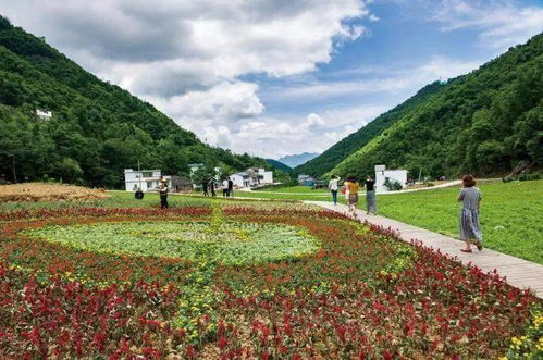 又到紅葉爛漫時 13條精品線路與露營地服務全指南